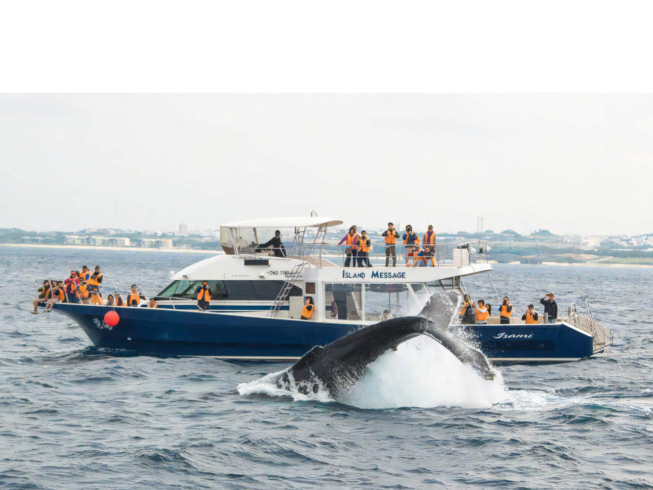 �J�×�15�N�ȏ�̎��т���z�G�[���E�H�b�`���O�c�A�[��ݐ؂ł��y���݂��������I�I