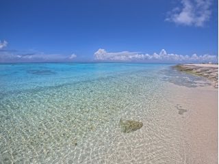 ビーチから見る海は透明に近いアイスブルーの爽やかな色。こんな海で一日プカプカできたら幸せですね・・・