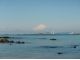 この海でのSUPレッスン
