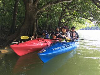マングローブちょこっとカヌー体験(約1時間)