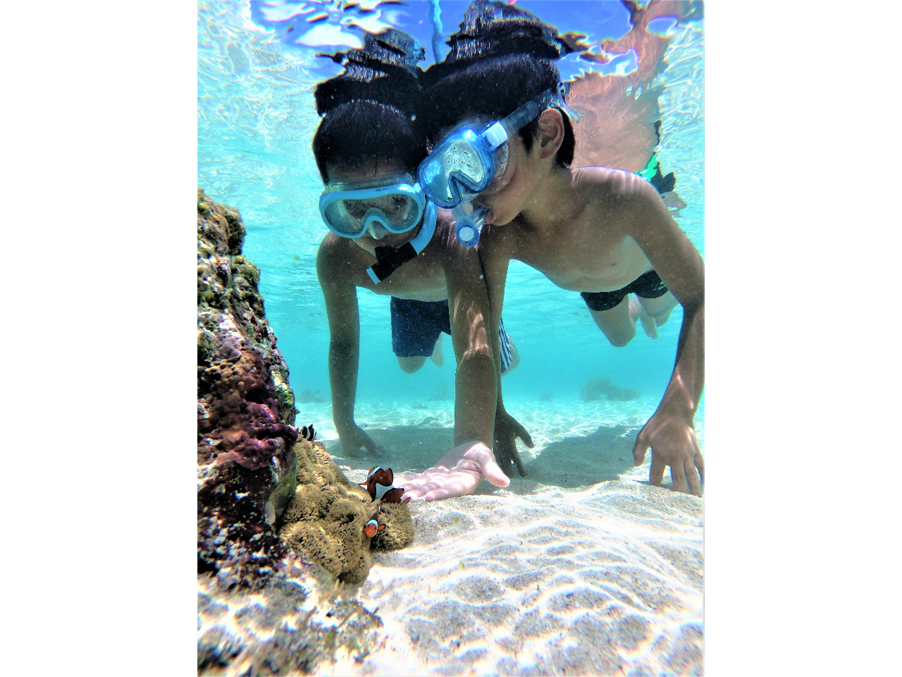 午前中はビーチからのんびりシュノーケリング