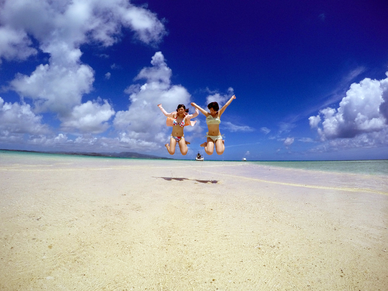 半日でも十分楽しめる