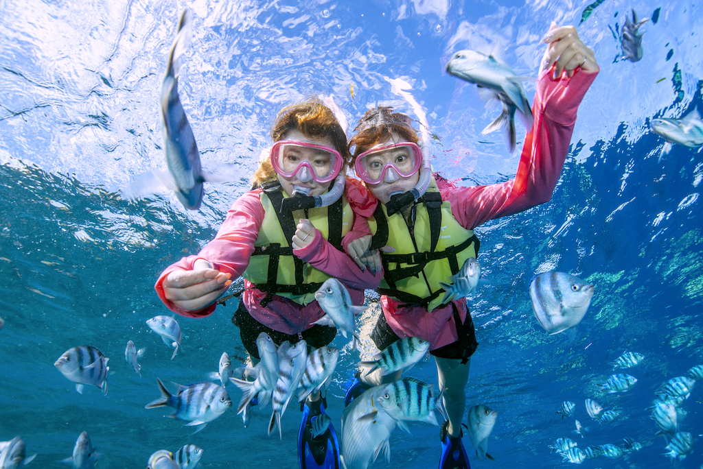 もちろん、エサあげ体験も無料です♪