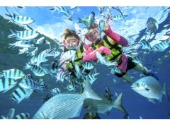 たくさんのお魚たちが集まってきますよ♪