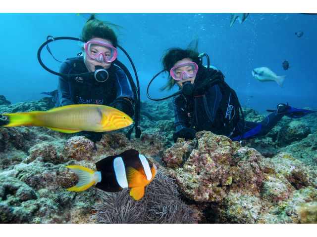 もちろん、エサあげ体験も無料です♪