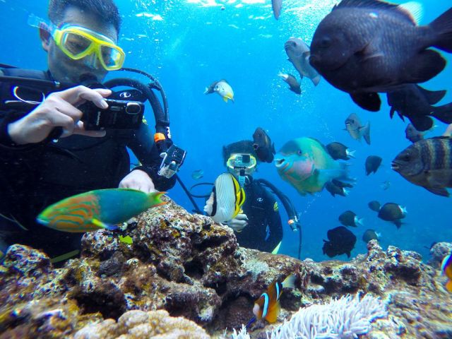 水中カメラレンタルサービス(2,750円/1台)も人気☆