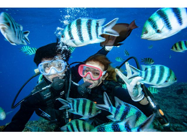 たくさんのお魚たちに囲まれてピース☆