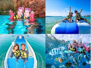 ボート出航+水中40分+エサあげ体験+マリンスポーツ!