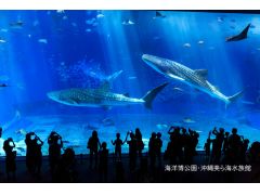沖縄美ら海水族館入館チケットで2倍楽しもう!