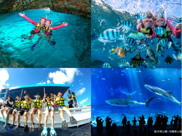 ボート出航+水中40分+エサあげ体験+水族館チケット!