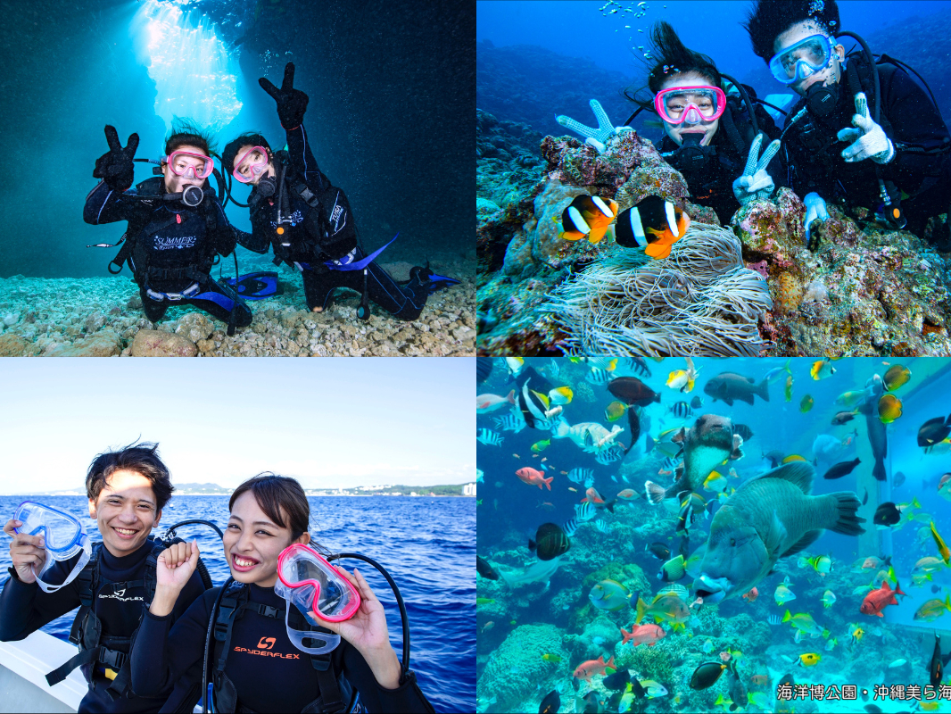 ボート出航+水中40分+エサあげ体験+水族館チケット!