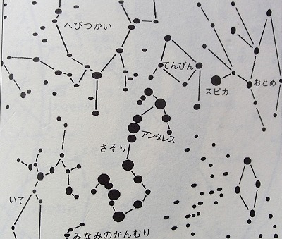 光るキノコの探索・満天の星空・夜間昆虫観察