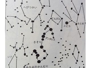 人工の光がほとんど遮蔽されるキャノッピの森。
満天の星空をながめ、君はいくつ星座を結べるか。
(星が多すぎて なやみます)