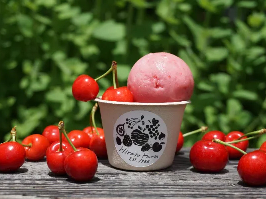 NEW!!】新感覚cherry cherry さくらんぼ狩り！〈さくらんぼ摘み取り＋