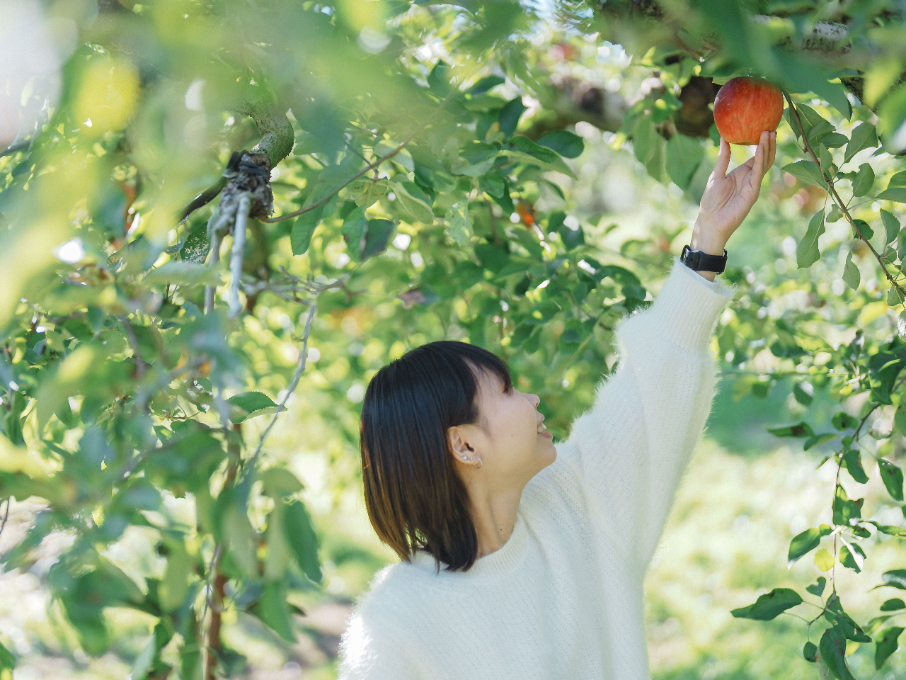 ��l�������ɁI�������Ă̂�񂲂����̏�ŏ����オ���