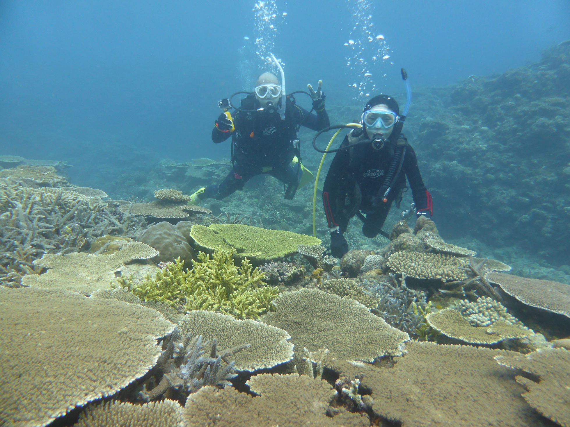 `oĂŔuR[K[fvɂ͑̓ݏLTSQB̌iłB