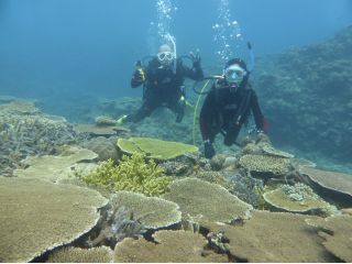 港か出て3分の「潮崎コーラルガーデン」には足の踏み場も無く広がるサンゴ群が。圧巻の光景です。