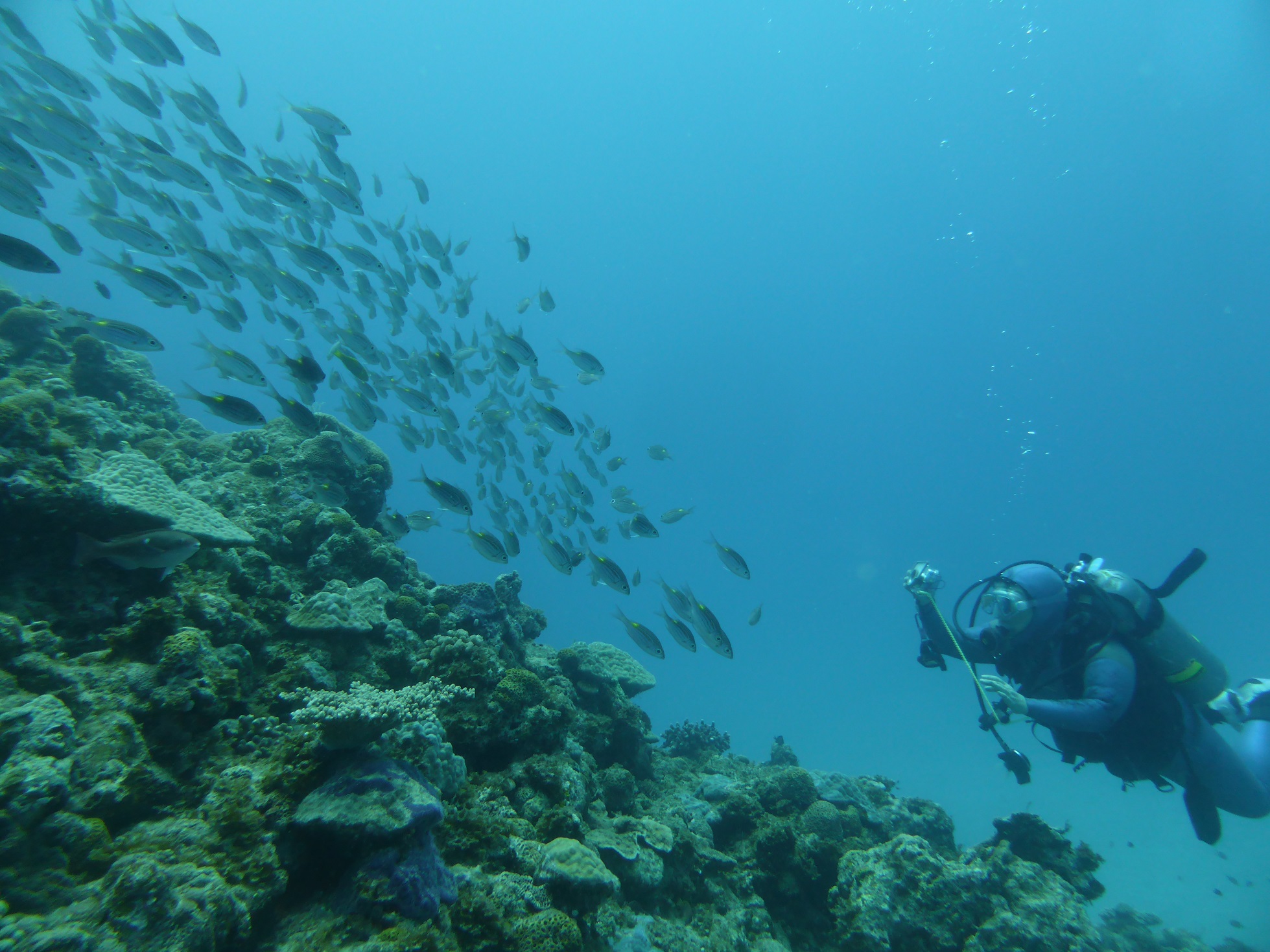 ɑ̋QĂup_CXv͐D̔ʑ