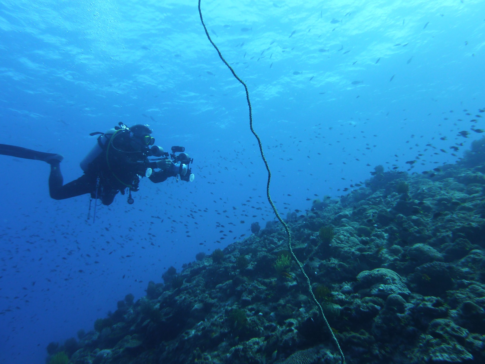 ugR}Tv͉XƑTSQʂ̋QBāAE~KmŏoGABɃhtgŁB