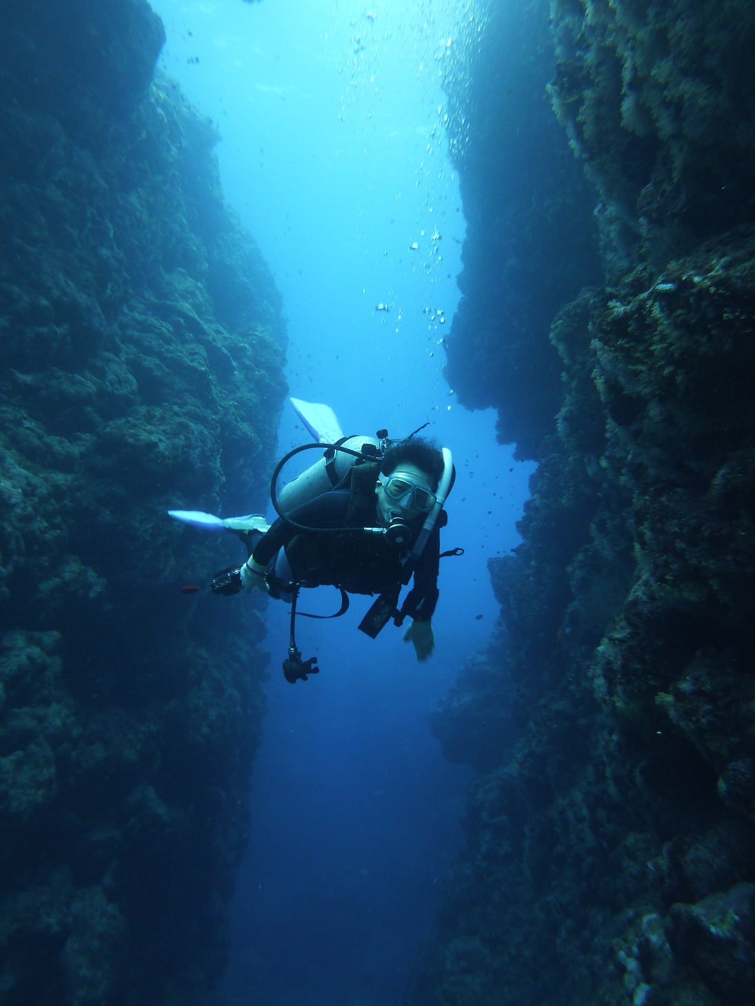 {œ[̊쉮ErGA͓ƓȒn`̃Ip[hB