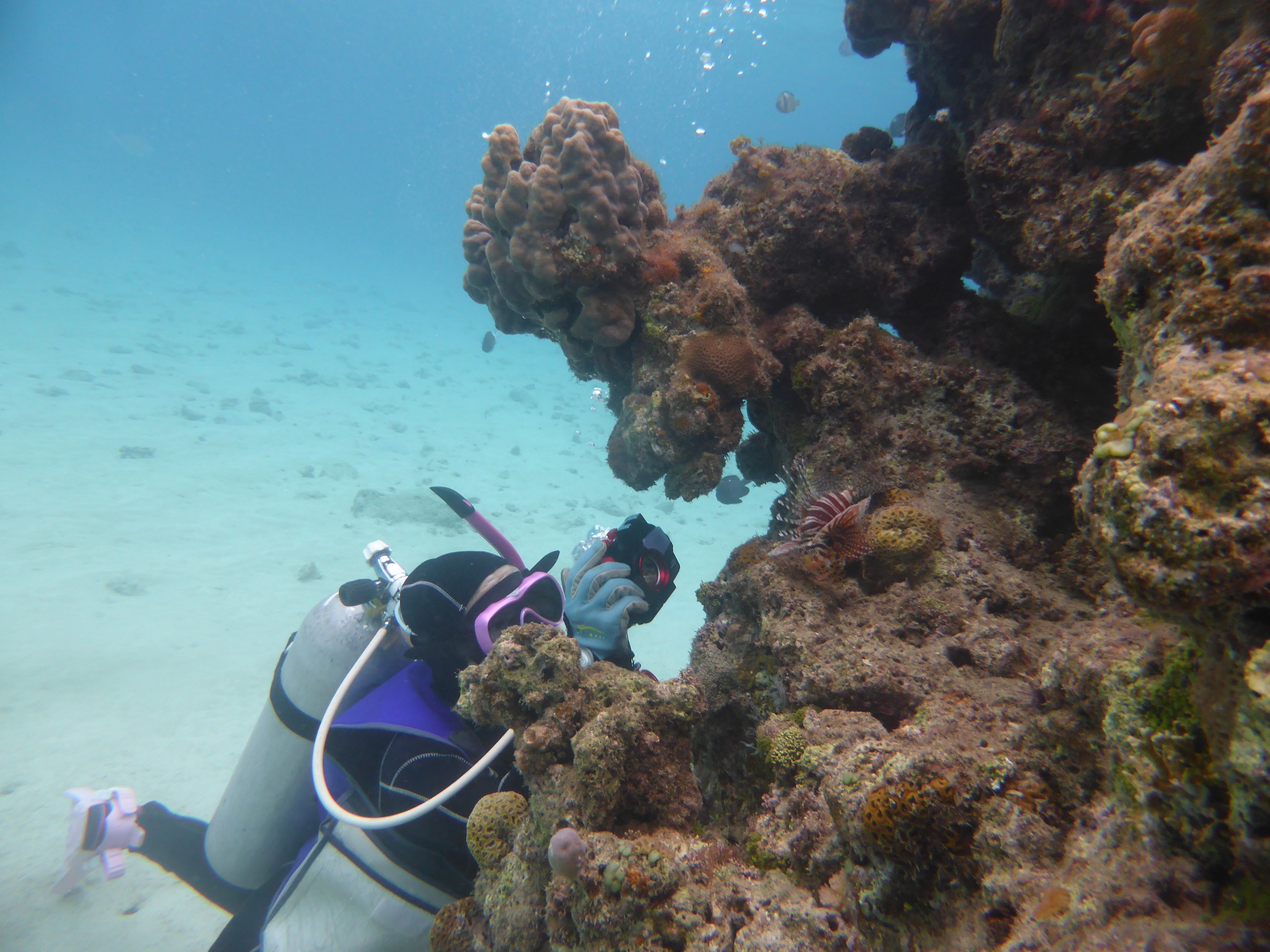 _Co[Ȃ̂ŁAB肽tHg_Co[ɂ͂ĂI