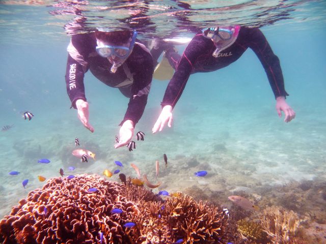 新型コロナ対策済 通年 5歳 2名様 那覇市内 那覇空港まで送迎あり 那覇に近い南部糸満で半日ゆったりシュノーケリング 温水シャワー更衣室完備 地域共通クーポン可 一組貸切専門 海の遊び処 なかゆくい じゃらん遊び体験 新型コロナ対策済 通年 5歳 2名様 那覇市内 那覇空港まで送迎あり 那覇に近い南部糸満で半日ゆったりシュノーケリング 温水シャワー更衣室完備 地域共通クーポン可 一組貸切専門 海の遊び処 なかゆくい じゃらん遊び体験