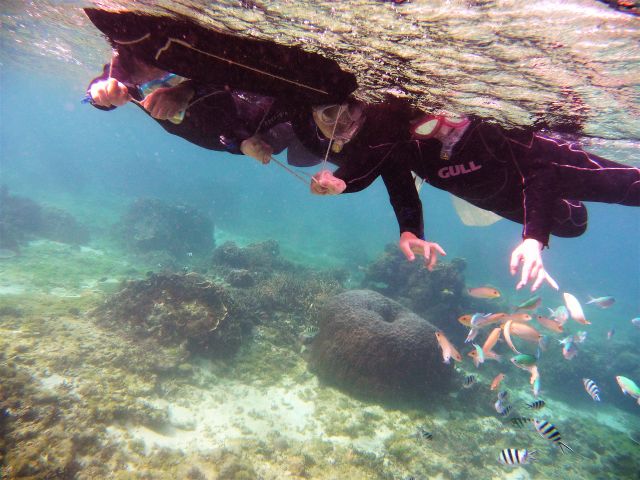 新型コロナ対策済 通年 5歳 2名様 那覇市内 那覇空港まで送迎あり 那覇に近い南部糸満で半日ゆったりシュノーケリング 温水シャワー更衣室完備 地域共通クーポン可 一組貸切専門 海の遊び処 なかゆくい じゃらん遊び体験 新型コロナ対策済 通年 5歳 2名様 那覇市内 那覇空港まで送迎あり 那覇に近い南部糸満で半日ゆったりシュノーケリング 温水シャワー更衣室完備 地域共通クーポン可 一組貸切専門 海の遊び処 なかゆくい じゃらん遊び体験