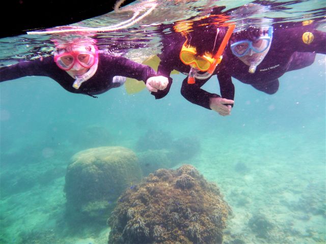 新型コロナ対策済 通年 5歳 2名様 那覇市内 那覇空港まで送迎あり 那覇に近い南部糸満で半日ゆったりシュノーケリング 温水シャワー更衣室完備 地域共通クーポン可 一組貸切専門 海の遊び処 なかゆくい じゃらん遊び体験 新型コロナ対策済 通年 5歳 2名様 那覇市内 那覇空港まで送迎あり 那覇に近い南部糸満で半日ゆったりシュノーケリング 温水シャワー更衣室完備 地域共通クーポン可 一組貸切専門 海の遊び処 なかゆくい じゃらん遊び体験