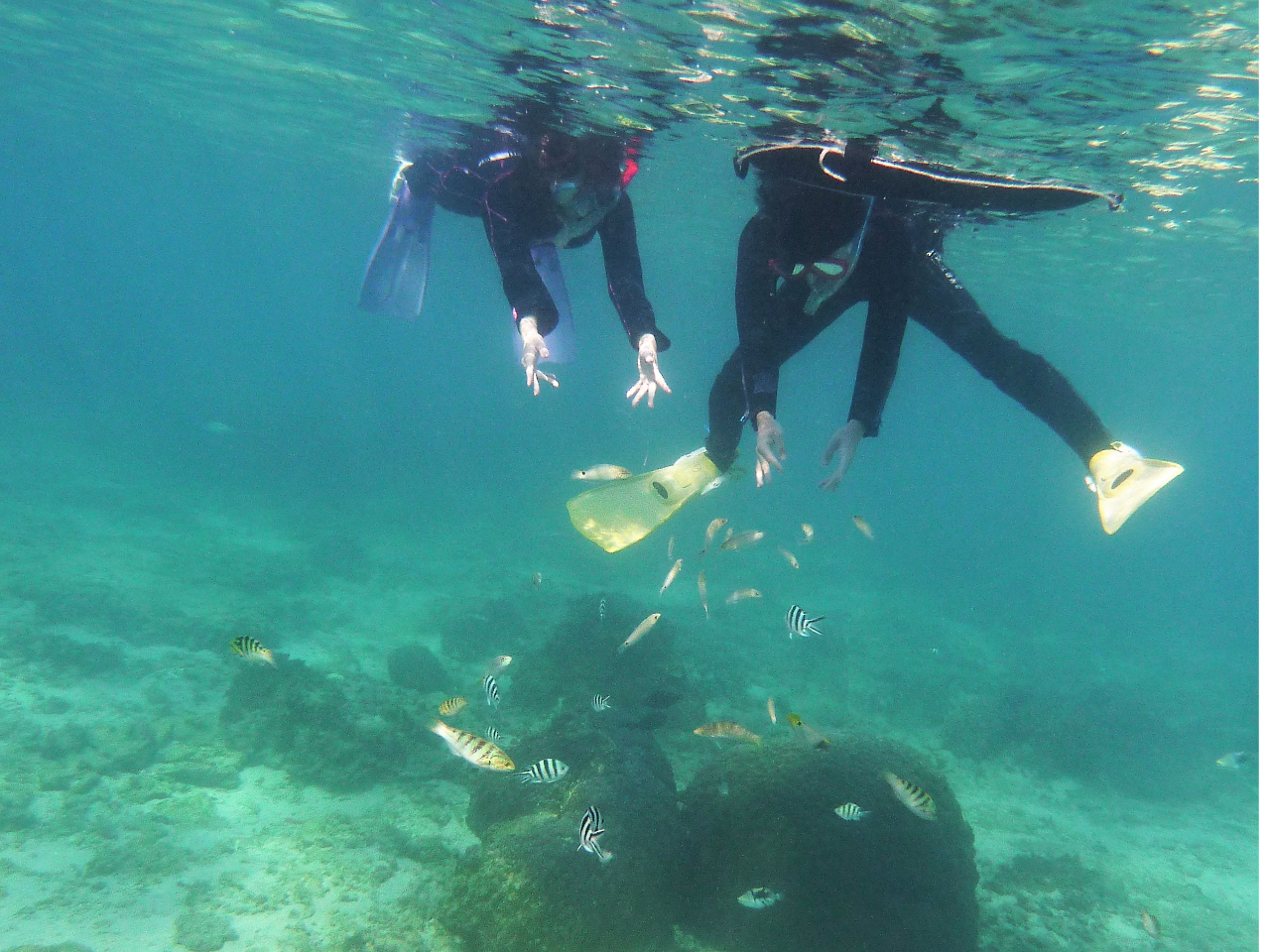 朝一番のまっさらキレイな海へ〜♪