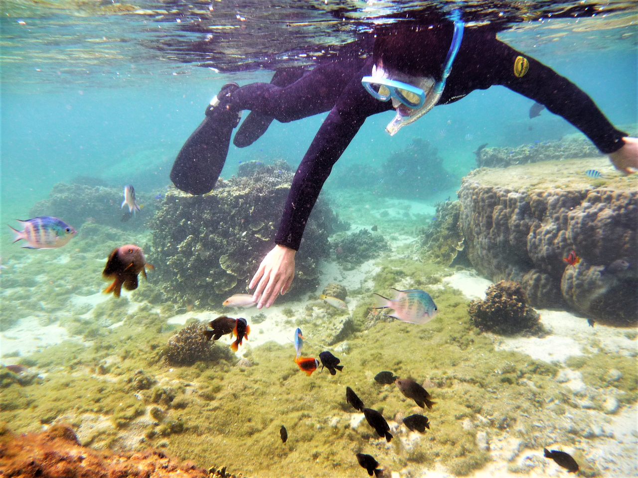 かわいい生物達が手に取れるくらい♪