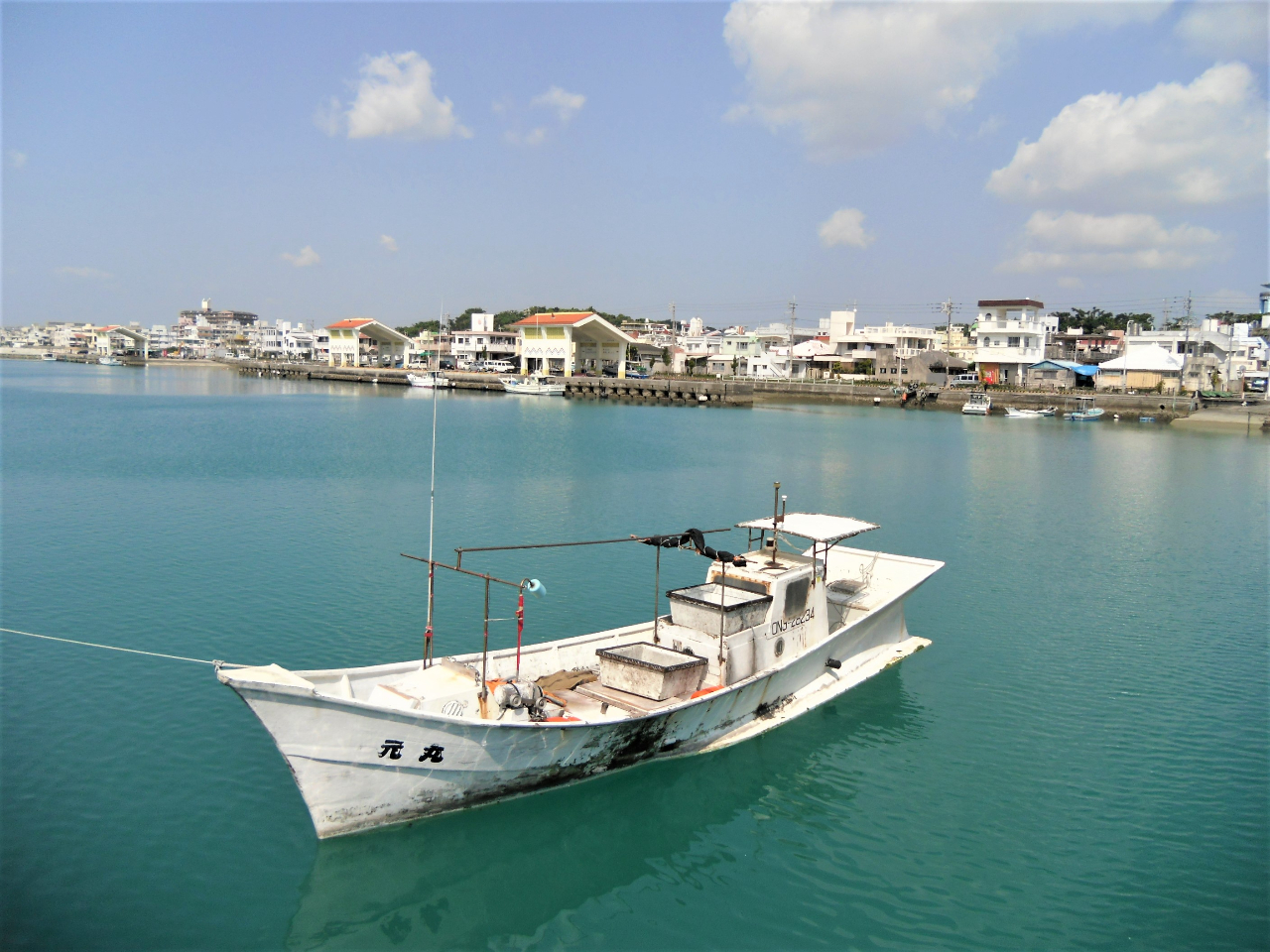 ����̉��C�Ȃ����i��