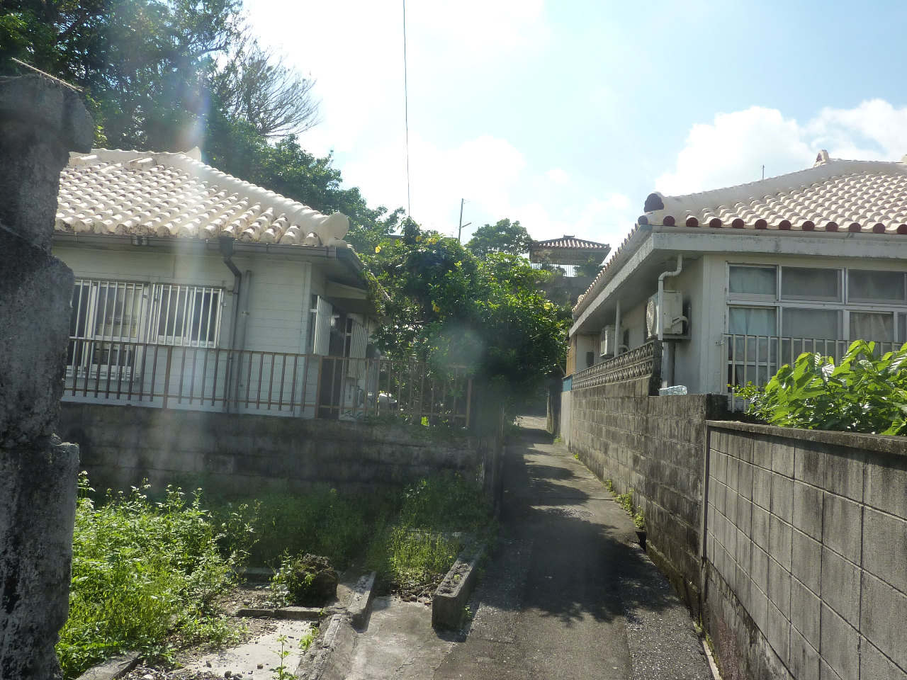 ���������ΐ̂Ȃ���̕��i���L�����Ă��܂�