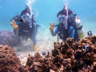 カラフルなお魚と美しいサンゴ群が目の前に!