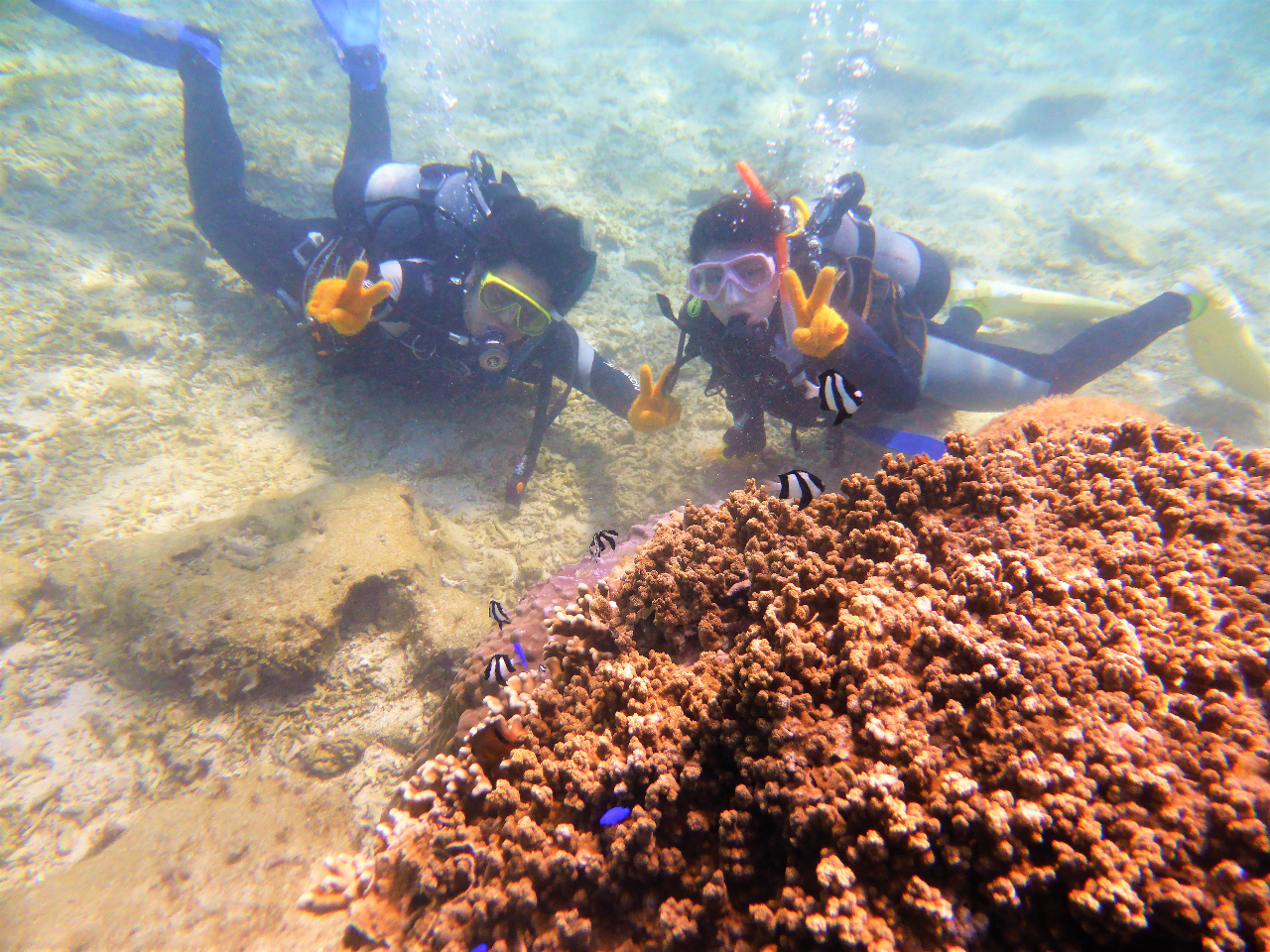 Ԃ̌̂тƎRɊy݂܂傤