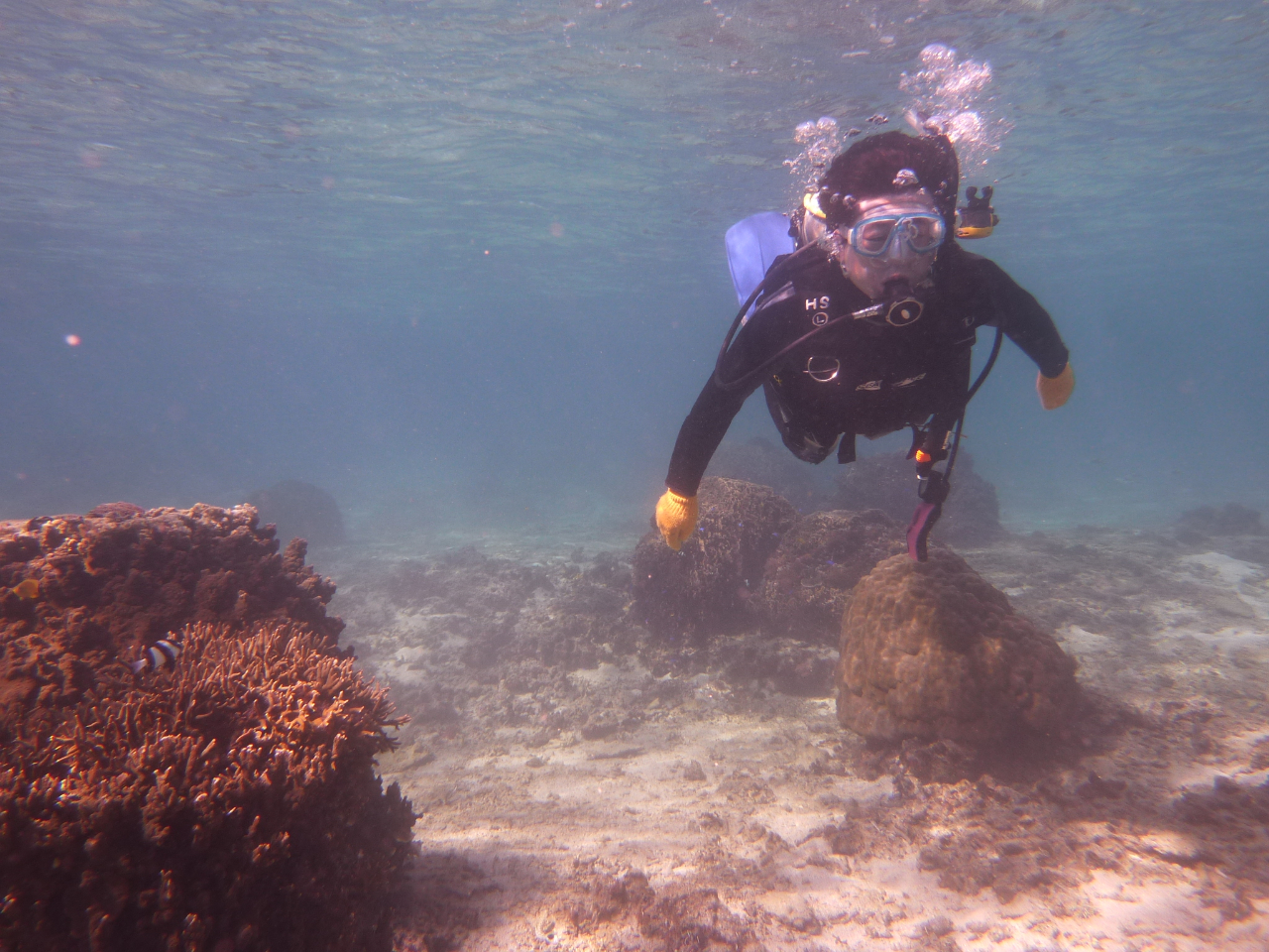 RC܂܂Ɋy񂶂Ⴂ܂傤`B