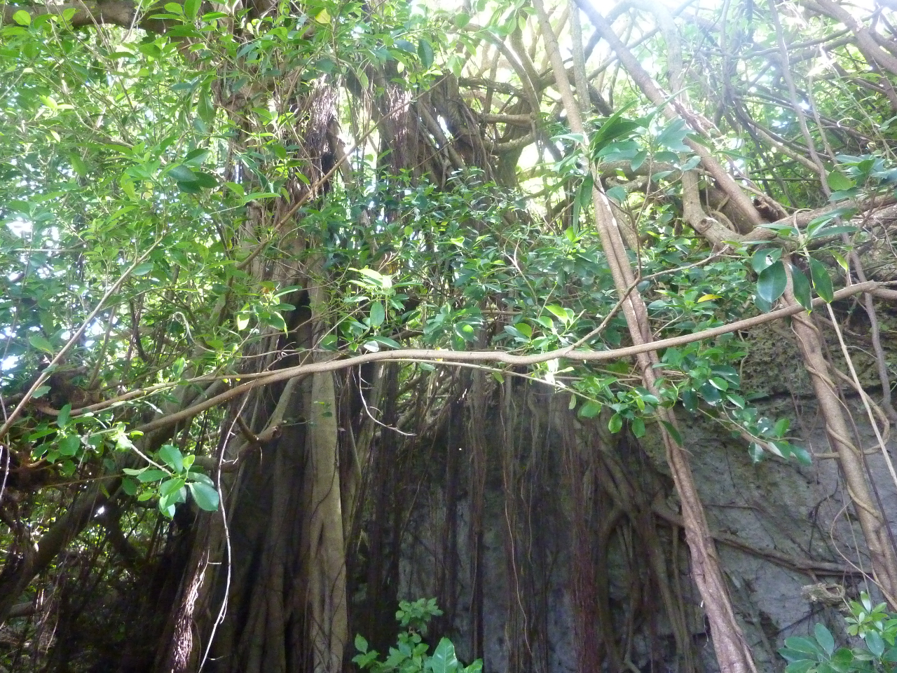 {IȏWEUꏊ́uƂ܁`vӂɂ̓KChubNɌfڂĂȂǂ낪IRC܂܂ȂЂƂ藷\ĂB