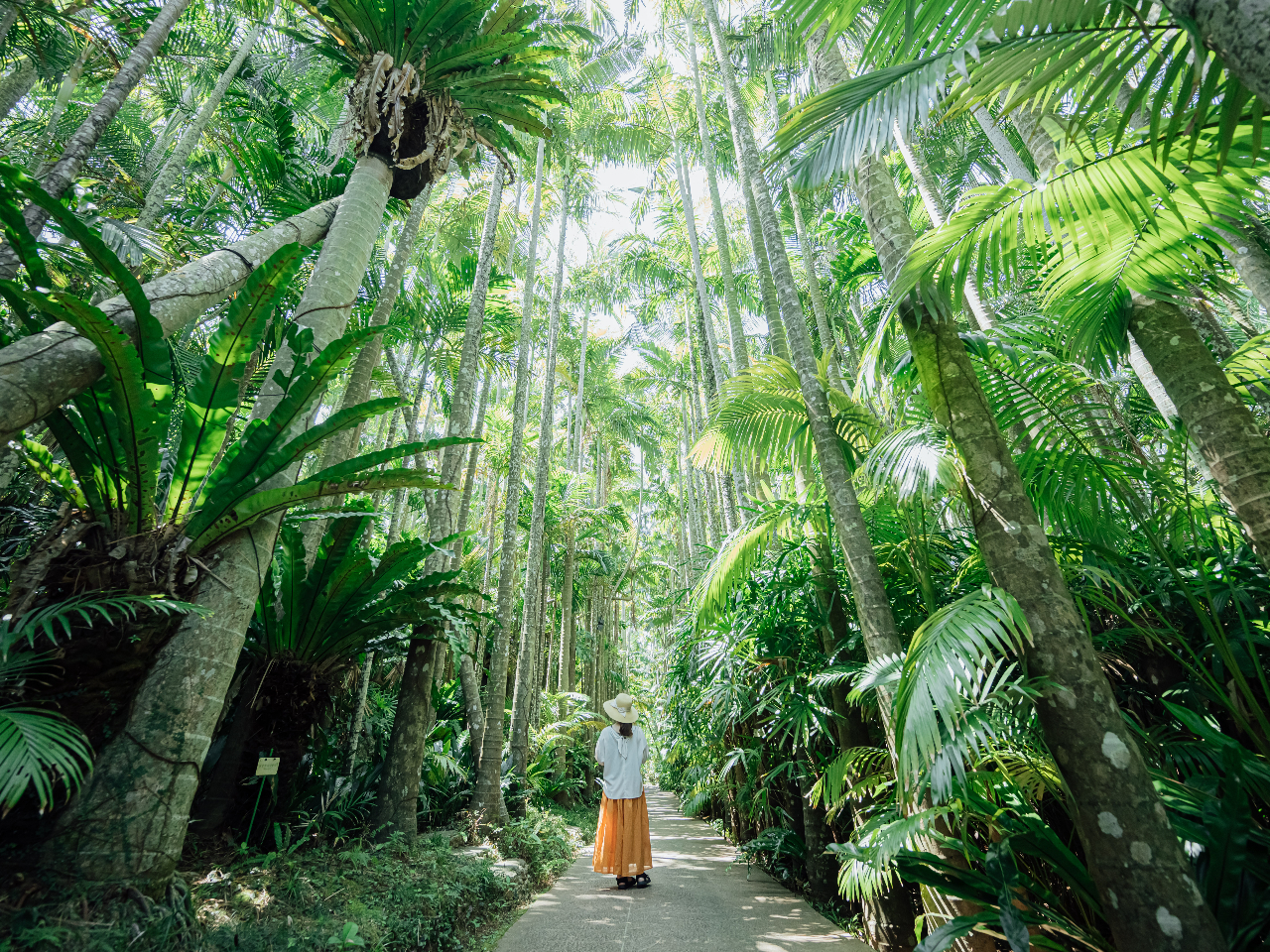 NĂꂽXV؂̂́AAyBȂp[X|bgłB