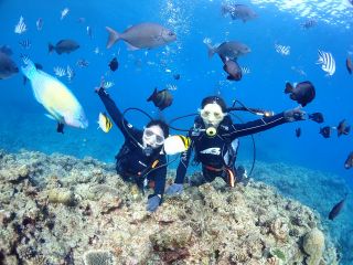 カラフルな魚がたくさん(^^♪