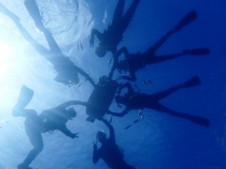 沖縄の綺麗な海の中をのぞいてみませんか??