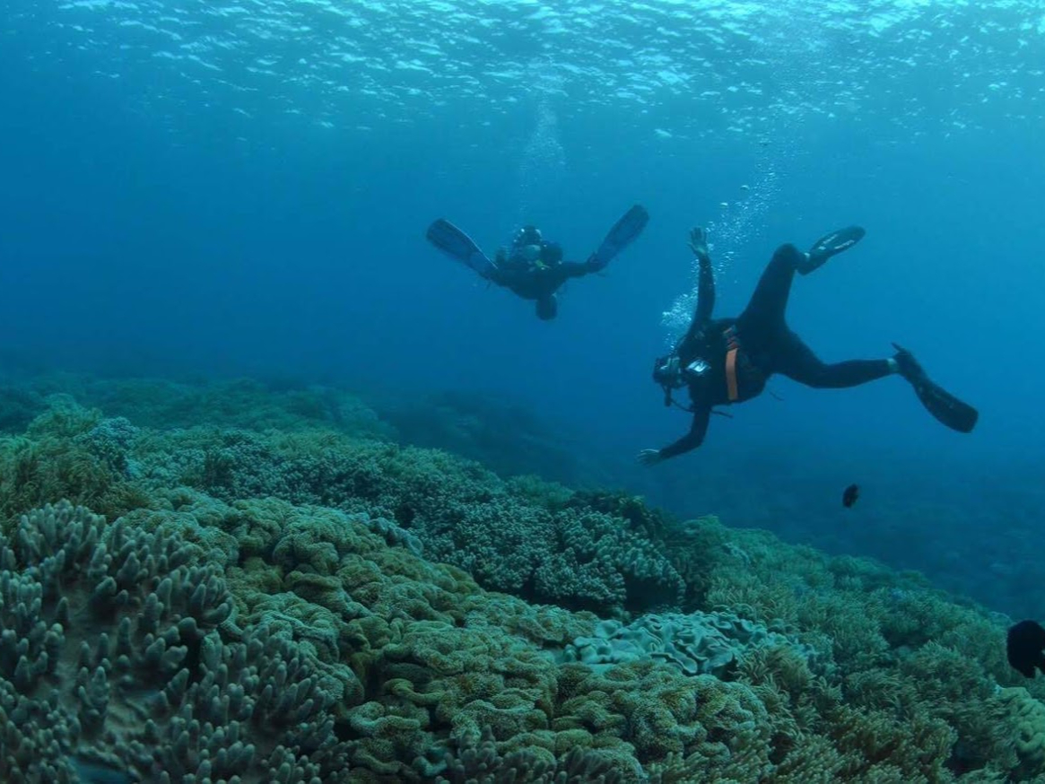 TŜԔ|Cg̓xe_Co[ɂlC