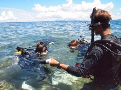 浅瀬での練習もするので泳ぎが苦手でも大丈夫!