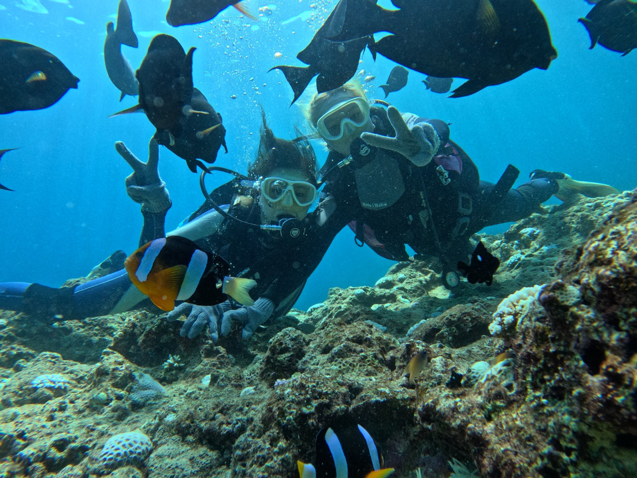 沢山のお魚に囲まれて気分は人魚♪