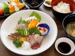 イルカウォッチング 刺身定食 天草の新鮮な食材で 作った美味しい刺身定食がイルカウォッチングとセットでお得に食べられる イルカクラブ じゃらん遊び体験 イルカウォッチング 刺身定食 天草の新鮮な食材で 作った美味しい刺身定食がイルカウォッチングとセットでお得に食べられる イルカクラブ じゃらん遊び体験