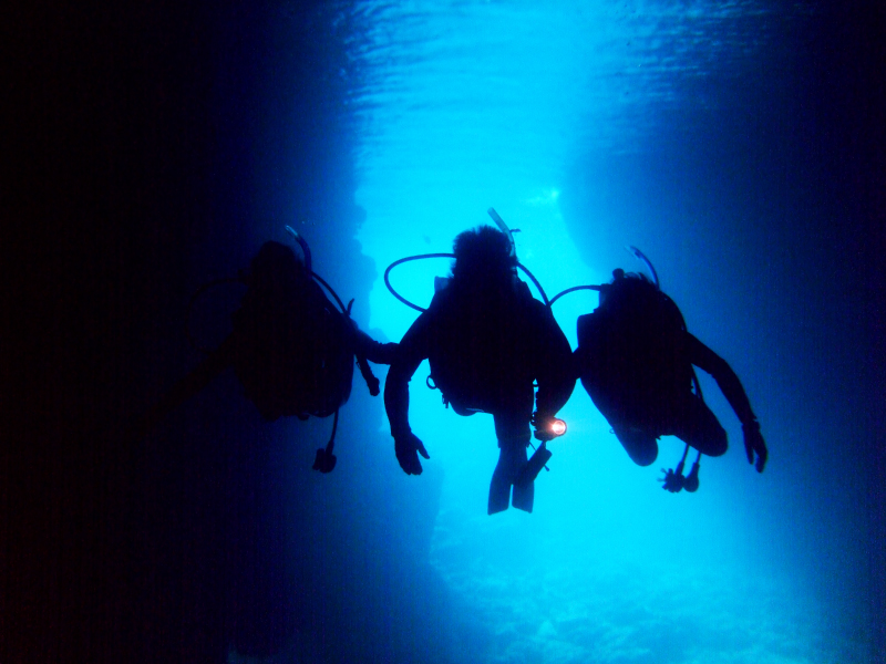 _IȐɖA̓AT鉫̌_CrOR[XB̓A̍ōɐ񂾃u[̐EA邱ƊԈႢȂI