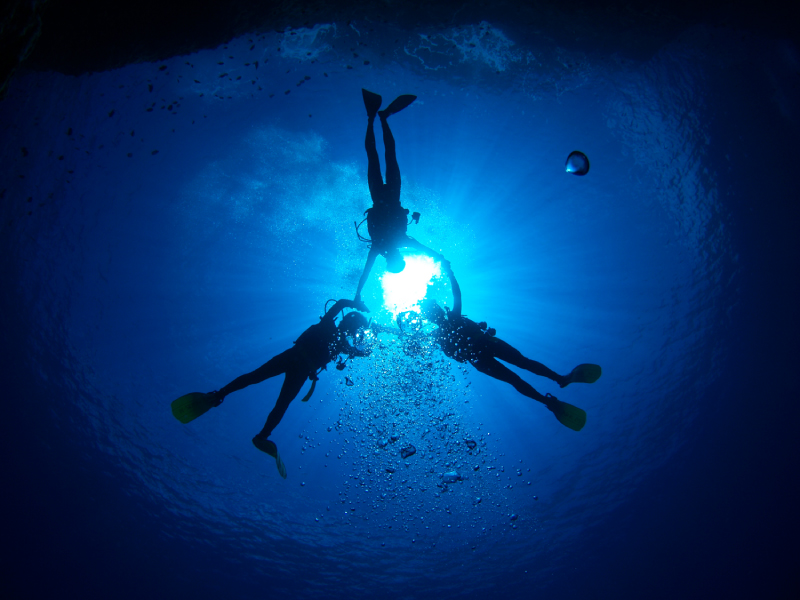 _CrOo܂I̓AȊOɂyŒׂɗlXȁuVсvpӂĂ܂Bx̌_CrOĂĂy܂鎩M܂B