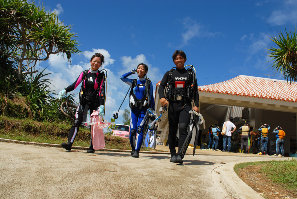 uN̂ADSzȕÂт肽qlɂ̓r[`_CrO߁Iߔe`̑}Ȃ̂ŁA炲płvłB