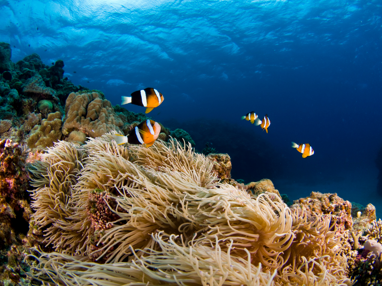 C\M`NɏZރN}m~ƈꏏɎʐ^B邱Ƃł邩܂B