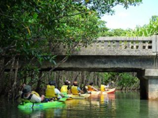 ウタラ川 半日カヌー体験 午前 浦内川観光 じゃらん遊び体験