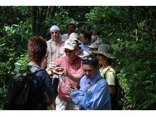 亜熱帯の森トレッキングのツアー中、珍しい動植物をガイドが詳しく説明致します。
