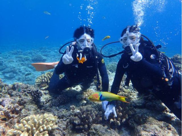 餌付けで魚も寄ってきます